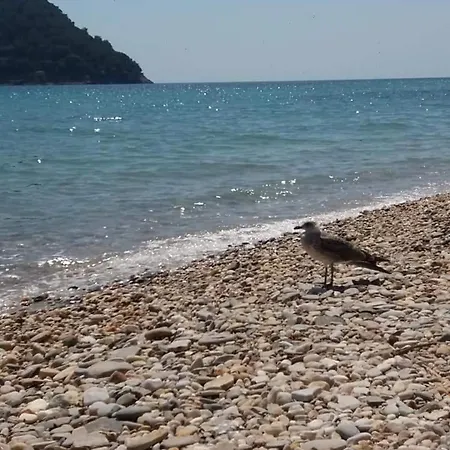 بيت ضيافة Giannis αdults Only كوينيرا