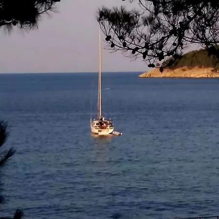 Giannis αdults Only