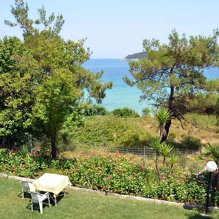 Giannis 2*